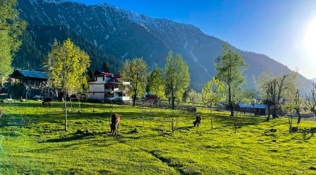 Amazing Kashmir Tour