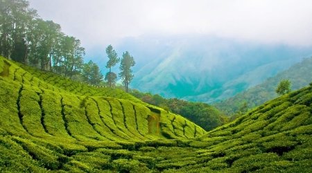 Kerala Tour God's Own Country